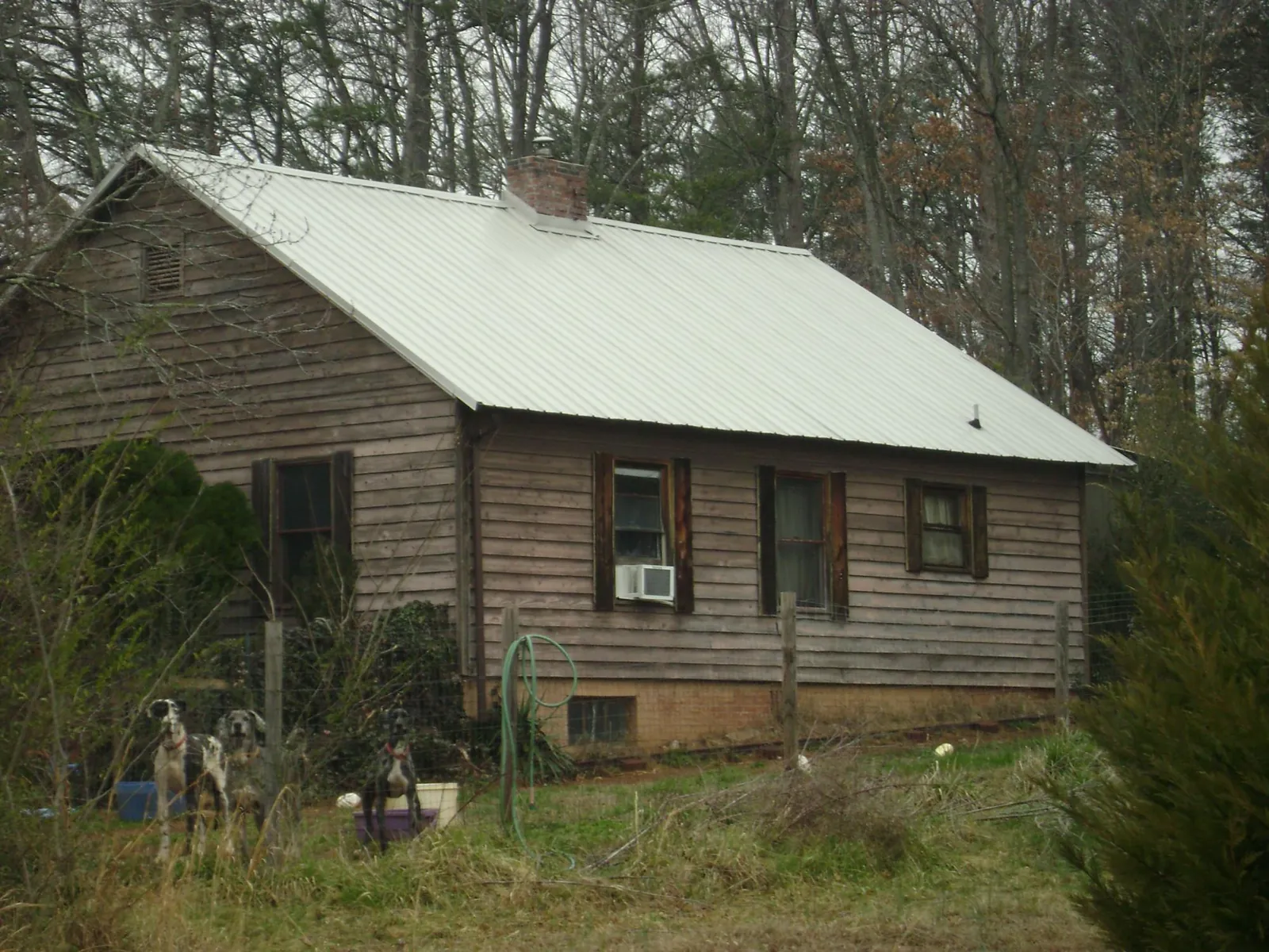 White metal roof on an old wood sided farmhouse, from a Asphalt Shingle Roof Repair job in Trail